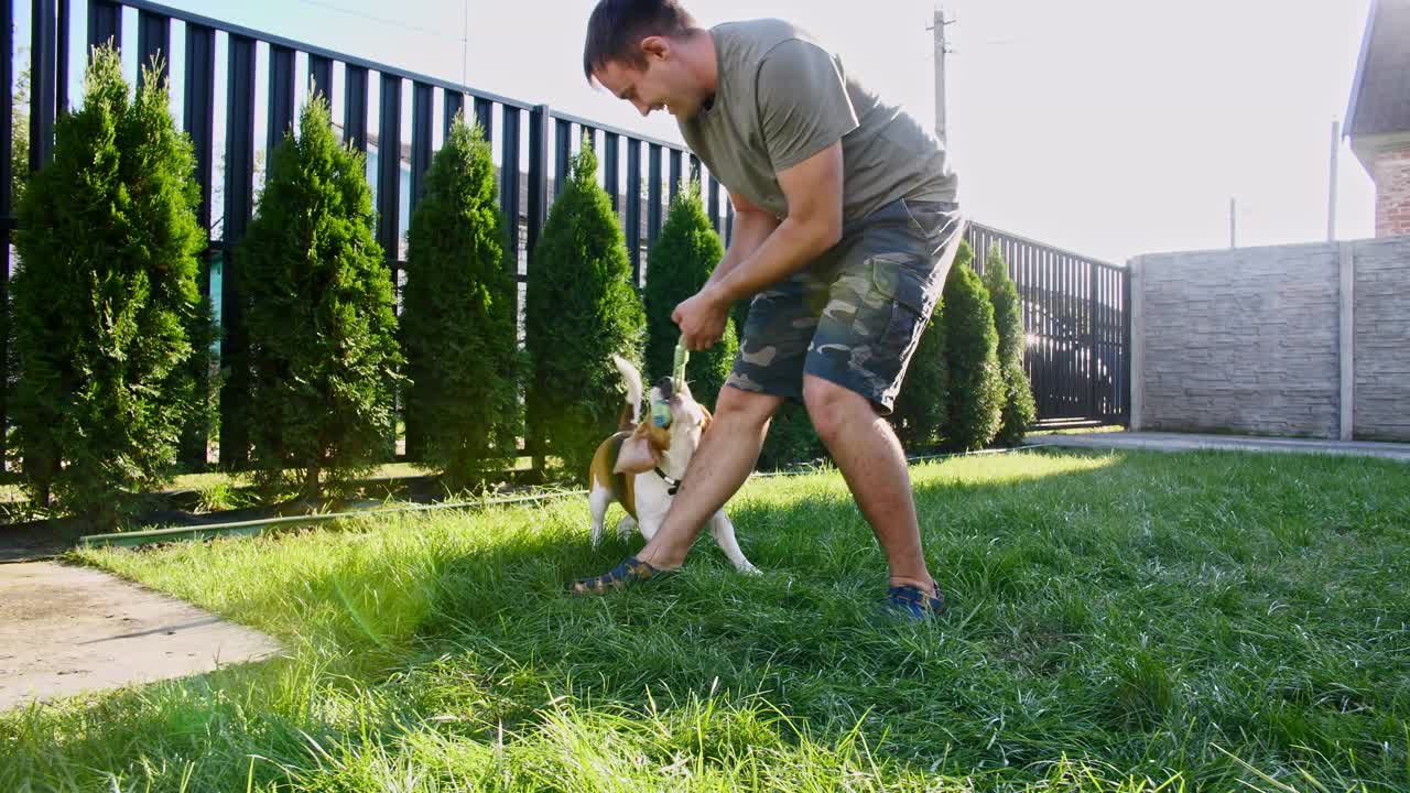 男人和他的小猎犬在户外玩耍，并给她的宠物一个款待。用他最喜欢的玩具逗他的小狗视频素材