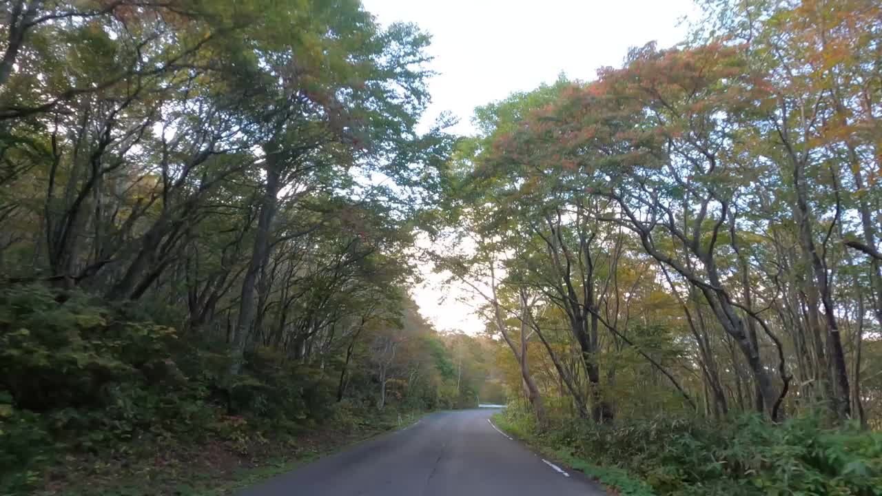 在秋天沿着山路行驶，后视镜视频素材