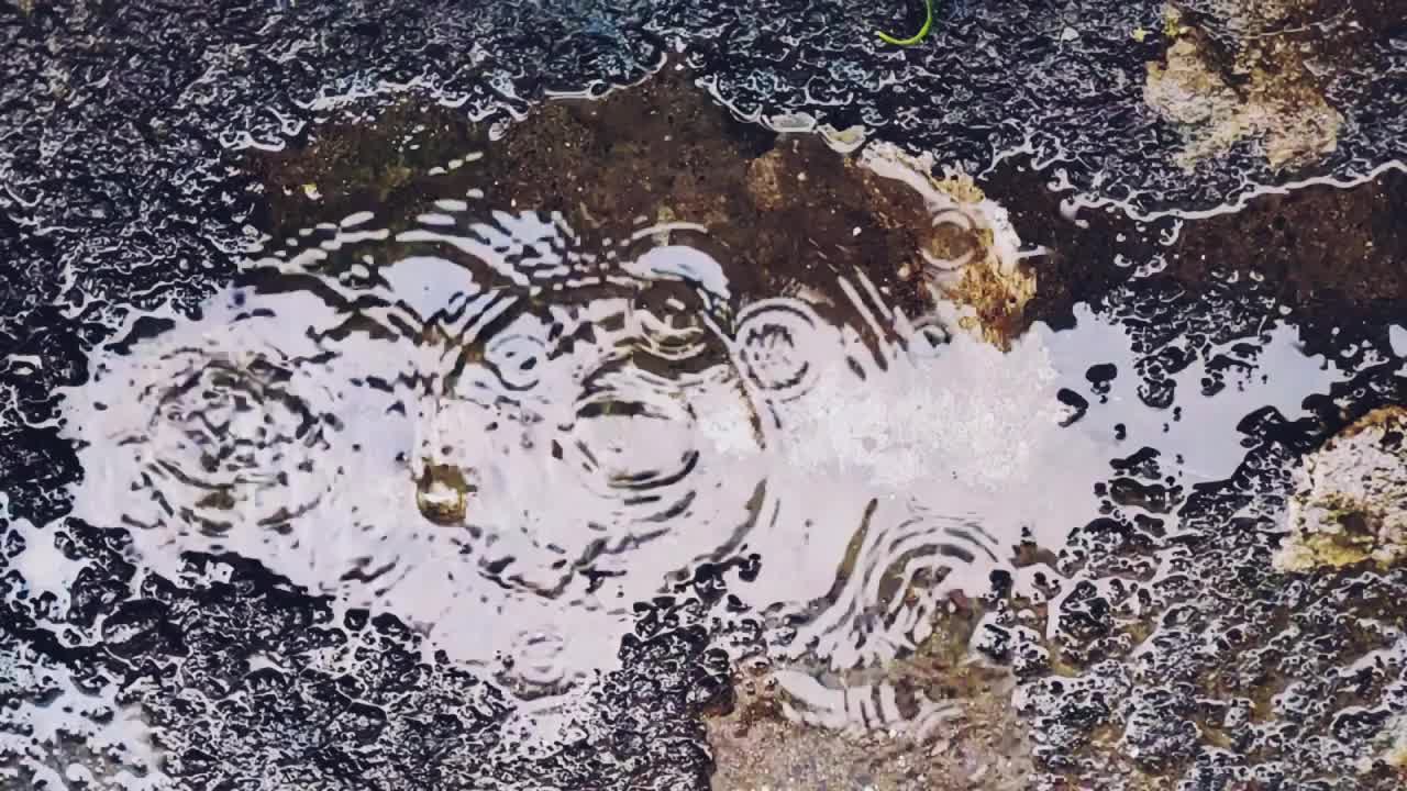 秋天的雨水落进沥青上的大水坑里视频素材