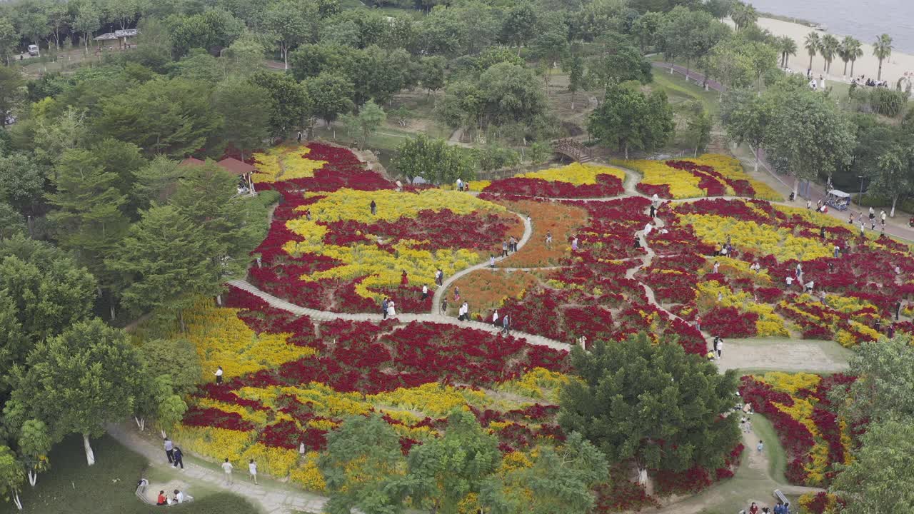 中国园林建筑的空中透视视频素材