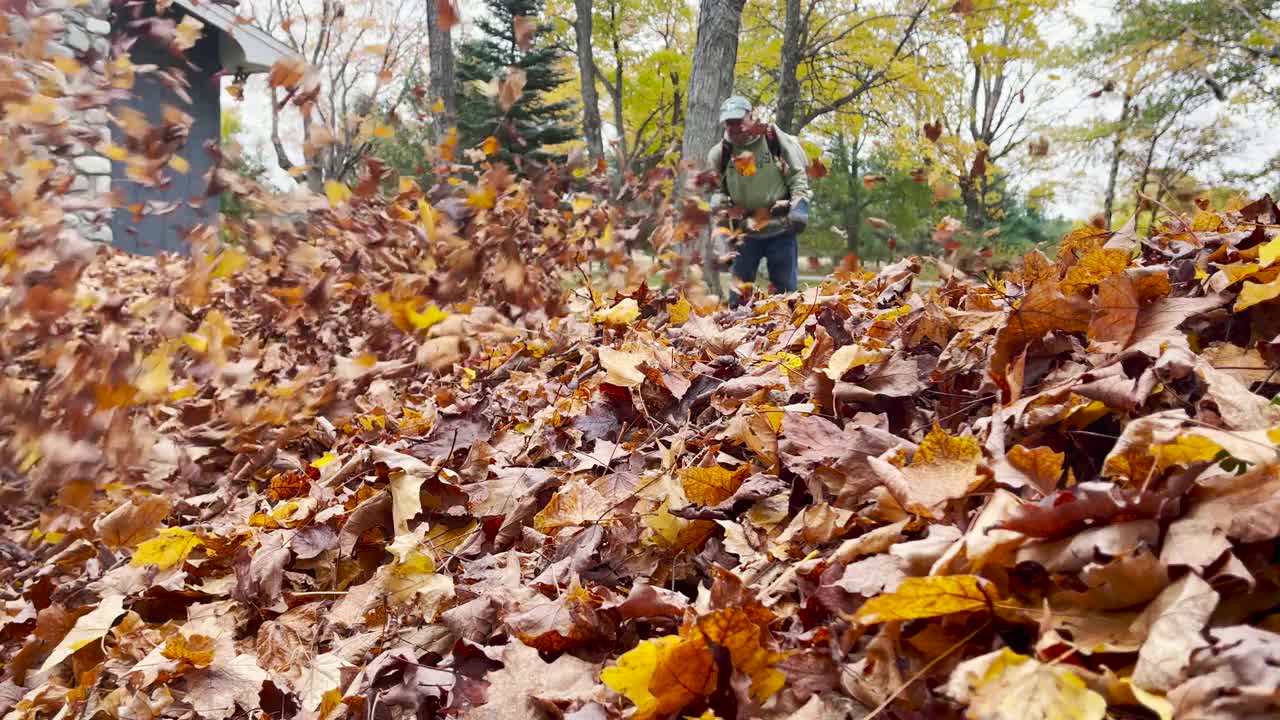 一个人用吹叶机把树叶吹成一大堆视频素材