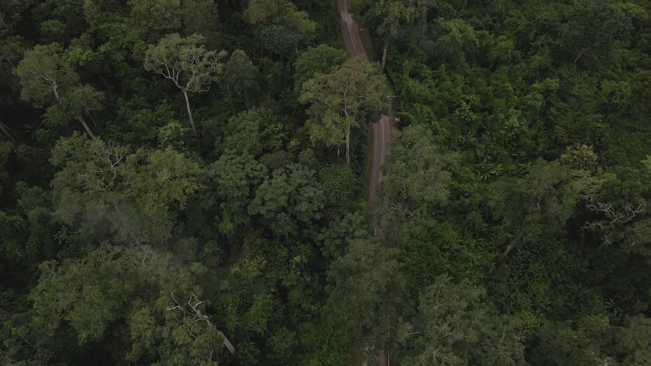 空中无人机公路旅行在清迈的山清道视频素材