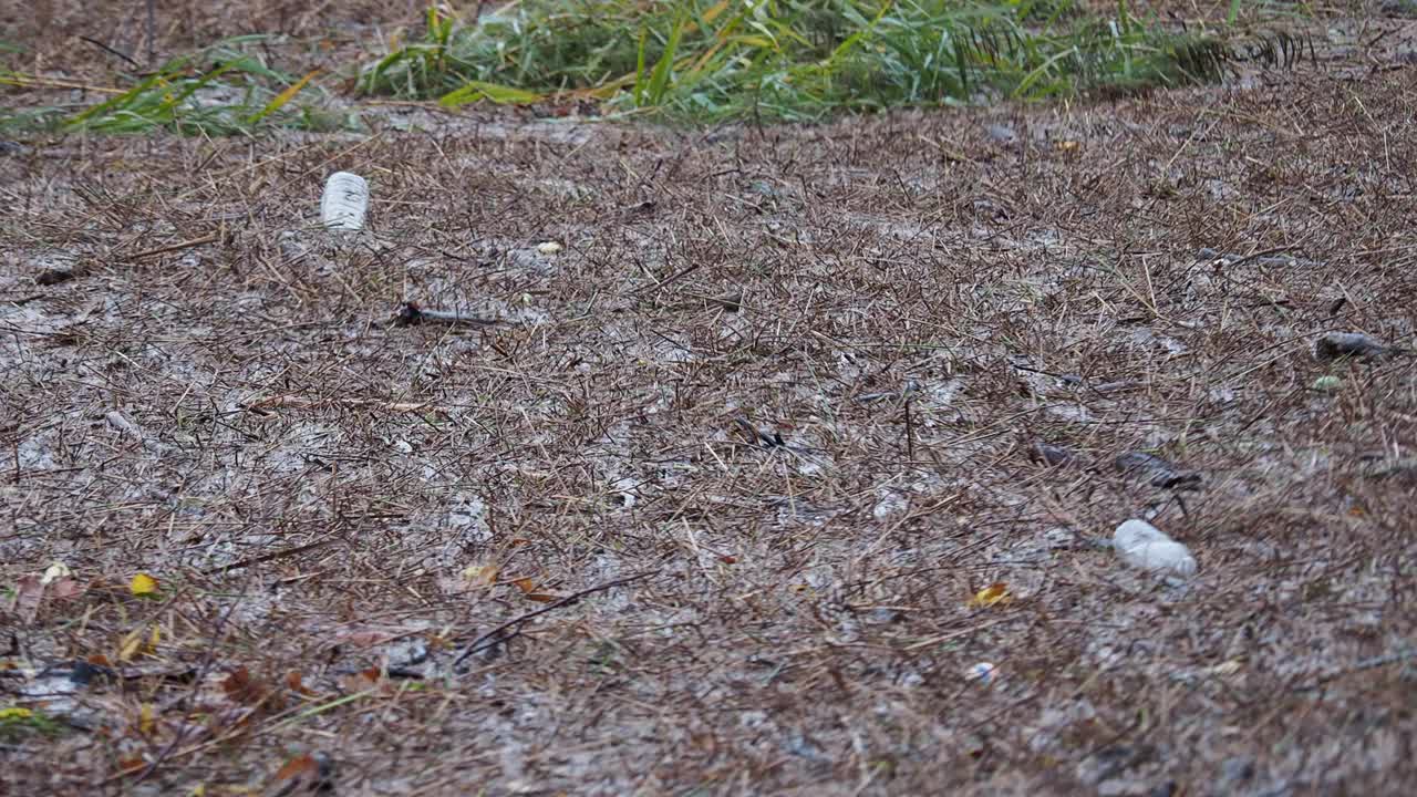 英国湖区，温德米尔湖，暴雨过后，被洪水冲毁的塑料瓶碎片导致湖水高度上升。视频素材