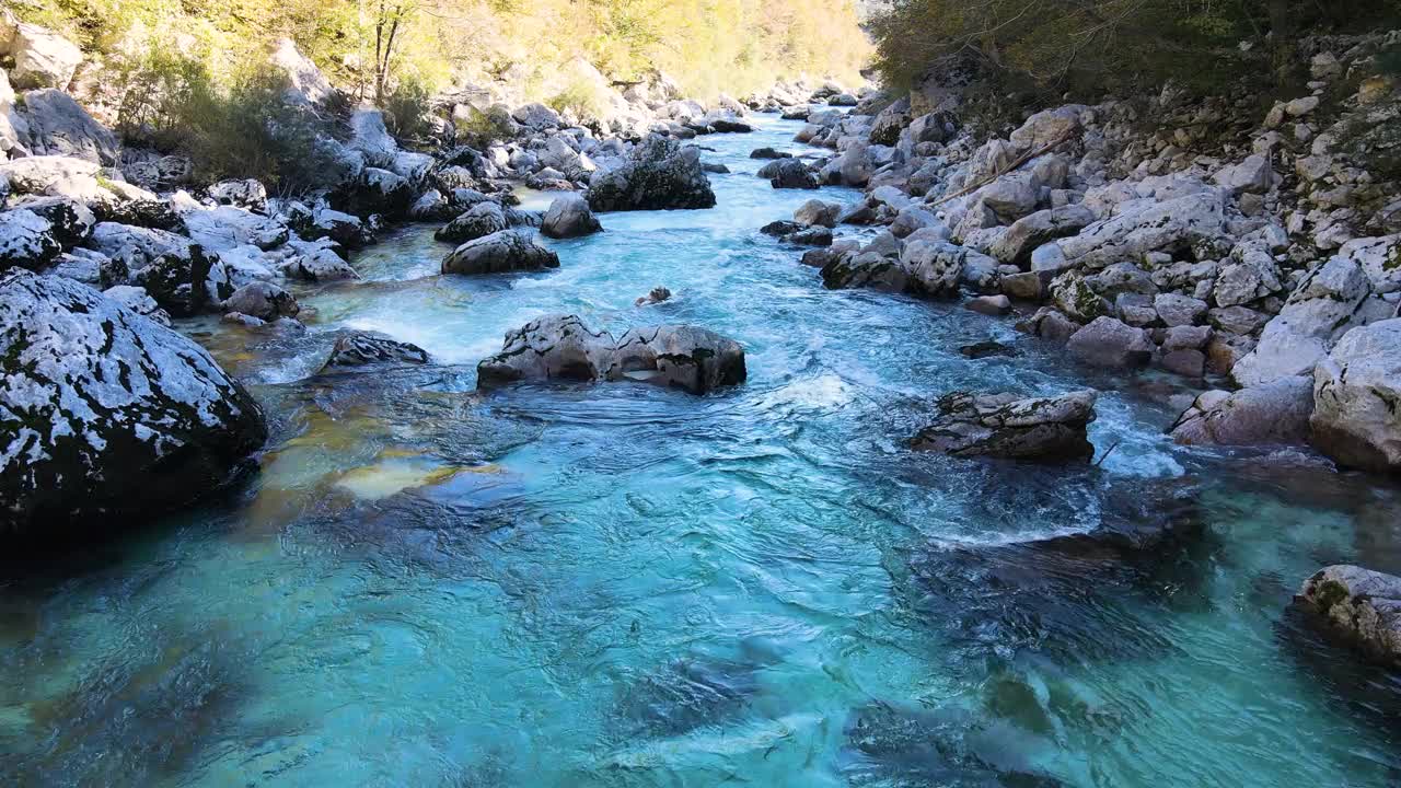 上面，清澈的河水在树荫下流淌视频素材