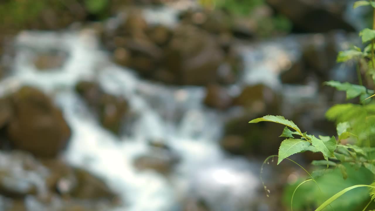 靠近小山涧与清澈的蓝色水流动之间潮湿的石头在夏季森林。视频素材