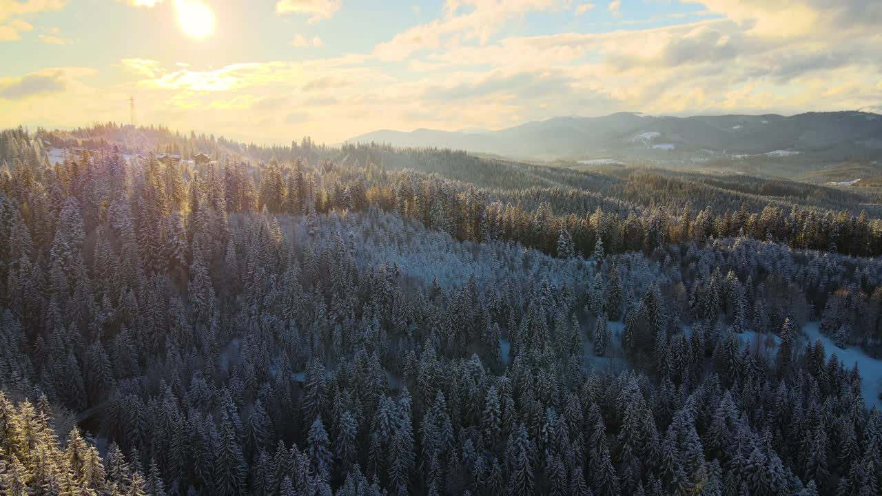 空中冬季景观与小村庄房屋之间的雪覆盖森林在寒冷的山在晚上视频素材