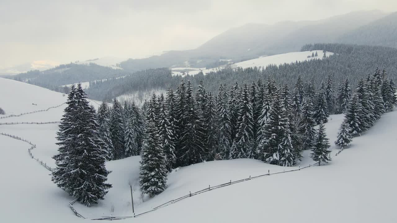 空中冬季景观与小乡村房屋之间的雪覆盖森林在寒冷的山视频素材