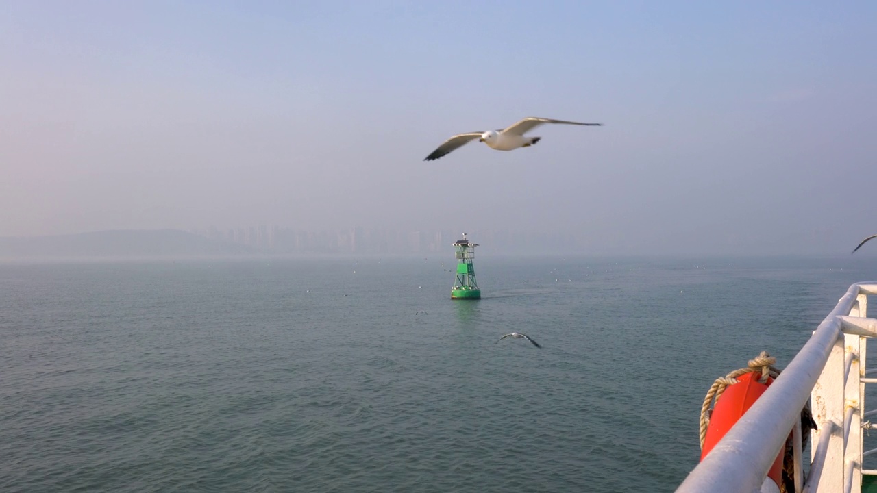 浮标和海鸥远离船在西海/仁川，韩国视频素材