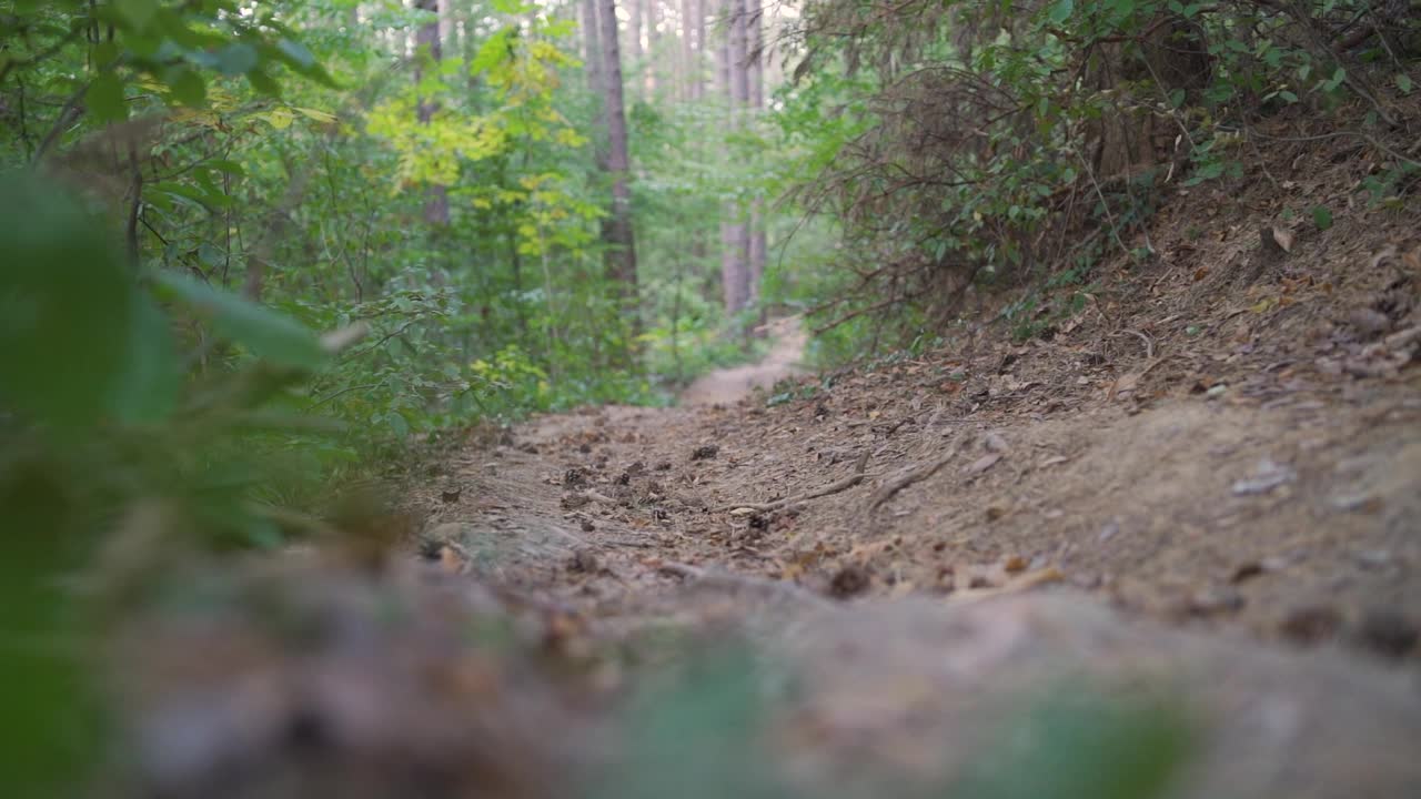 年轻的山地自行车手在森林里的一条小路上爬行视频素材