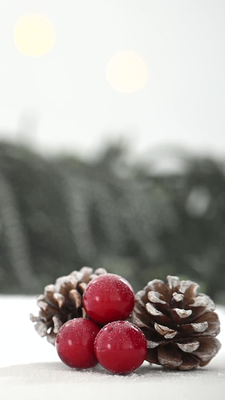 松果和冬青浆果背景上的雪视频素材