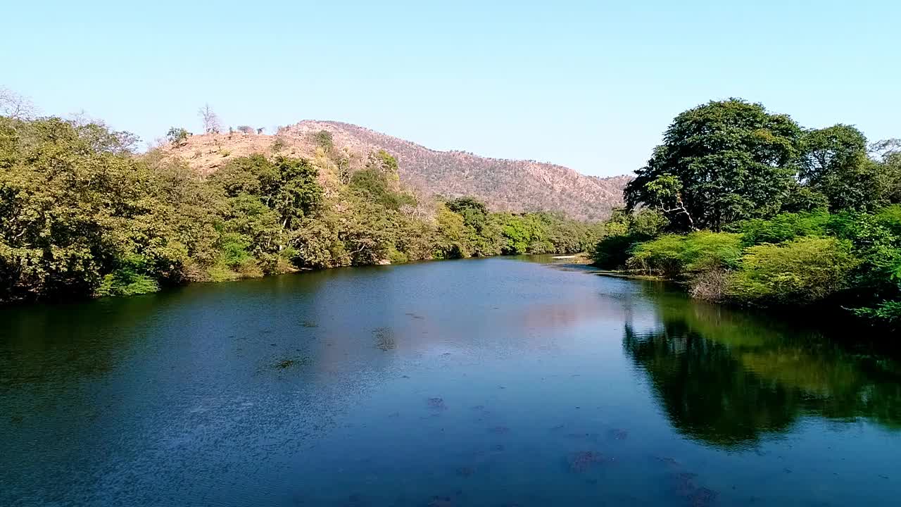 水湖和绿地的Arial View视频素材