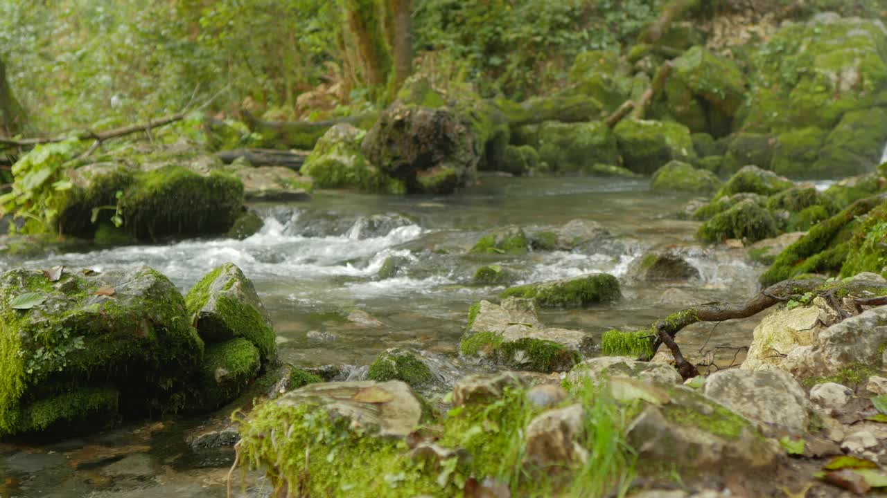 山上的河道很小，石头上长满了草木、落叶视频素材