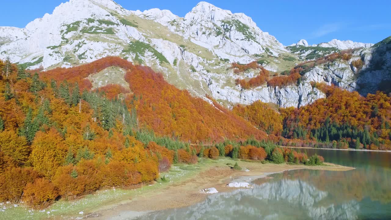 山湖秋天树叶视频素材