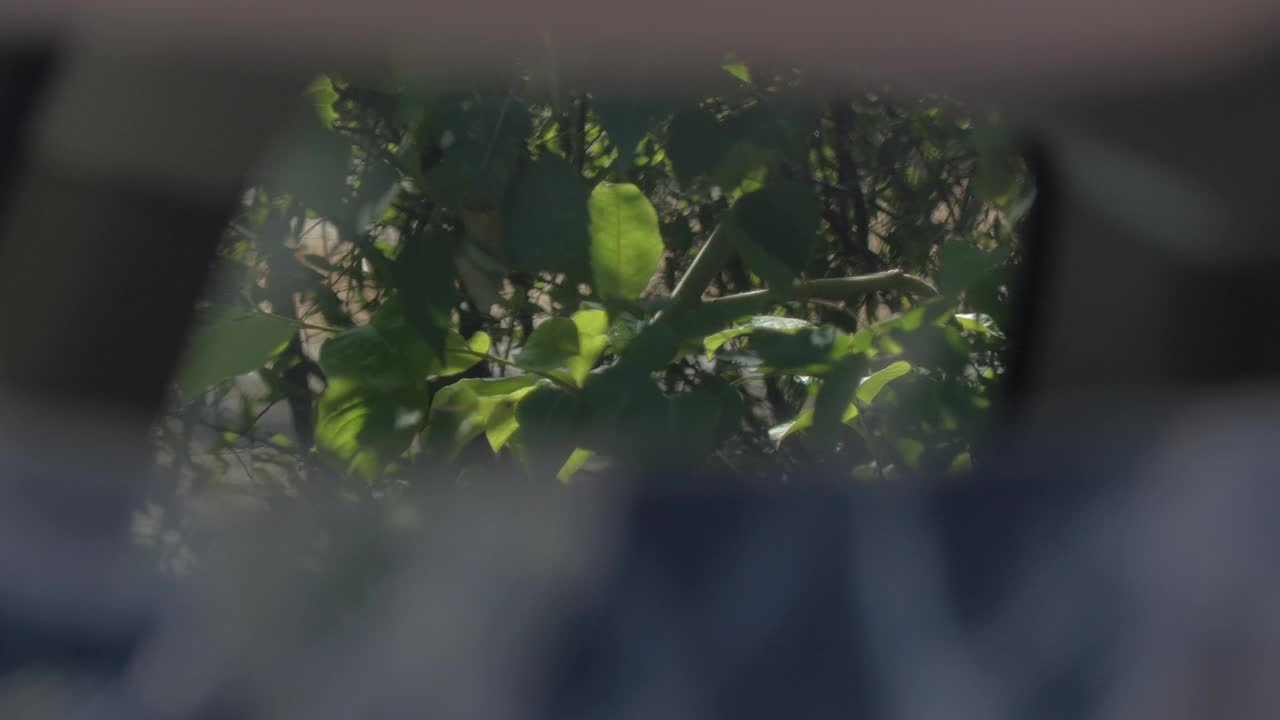 这是一辆汽车的特写镜头，它被撞穿了挡风玻璃。视频素材