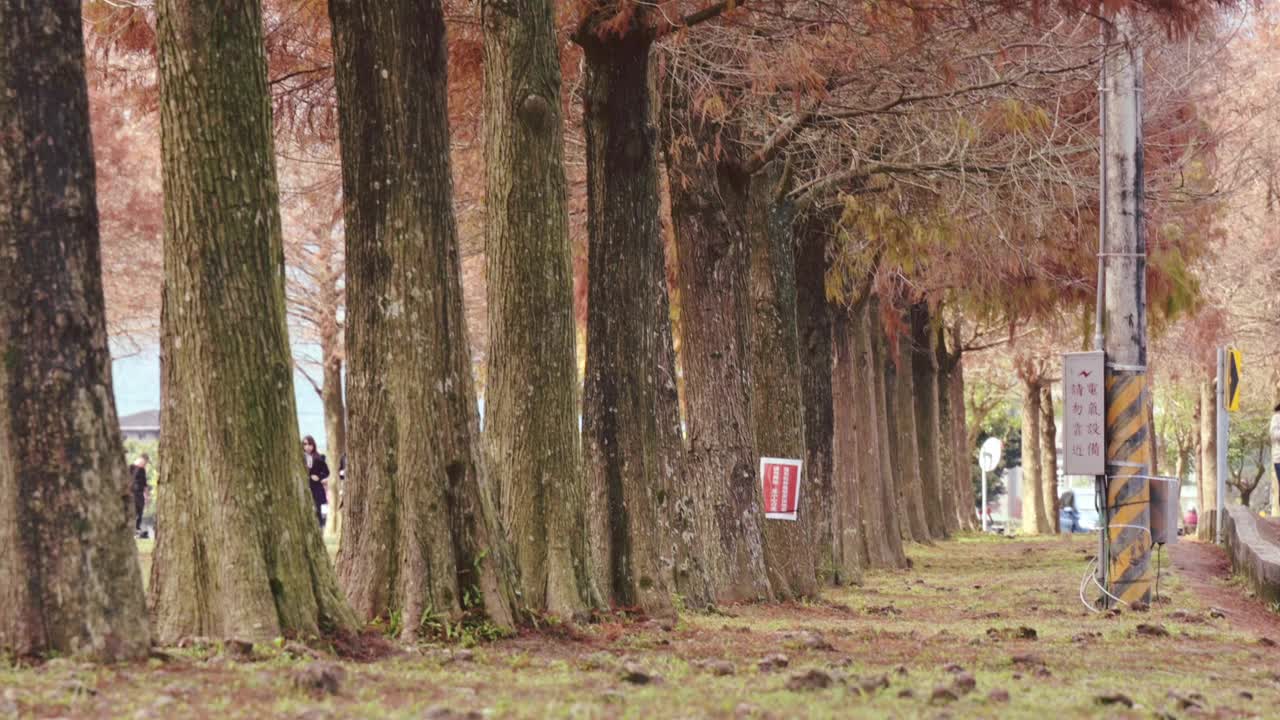 台湾省宜兰县三兴乡视频素材