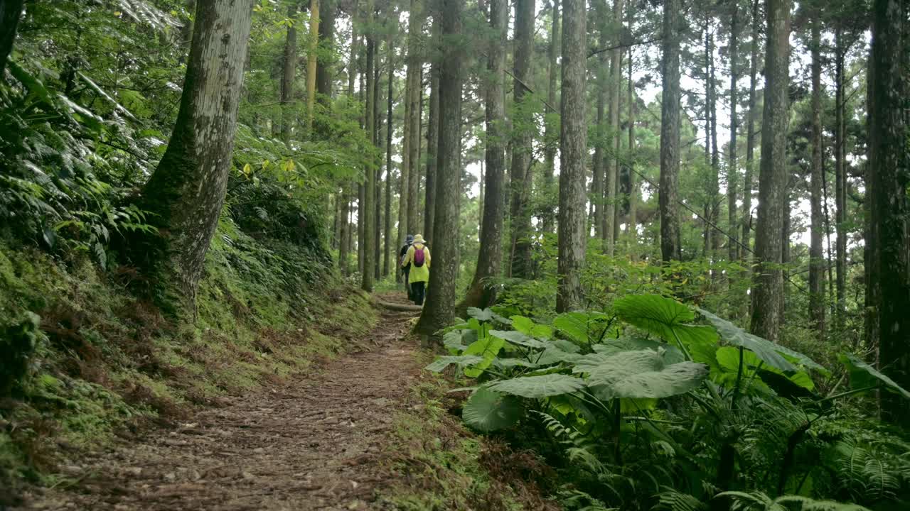 东燕山森林游乐区视频素材