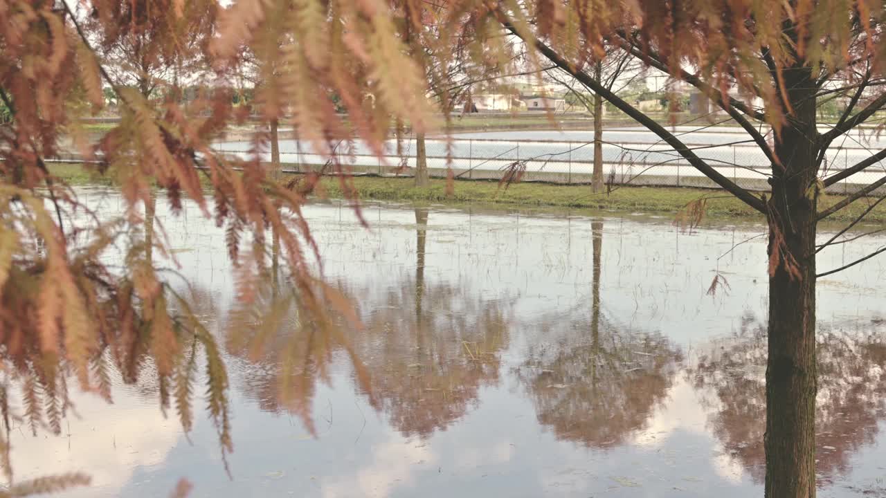 台湾省宜兰县三兴乡视频素材