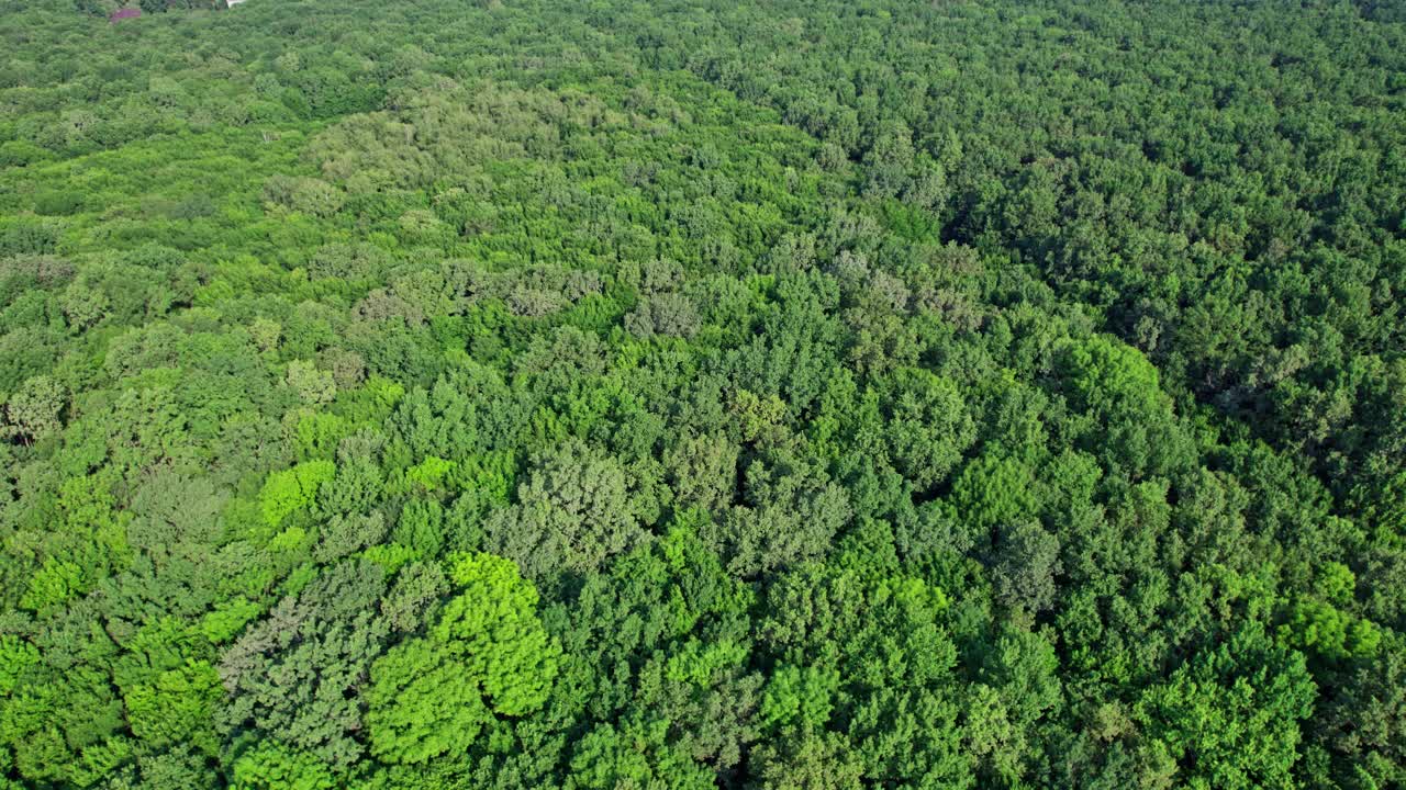 保育概念、生态学、生物多样性、全球变暖、二氧化碳视频素材