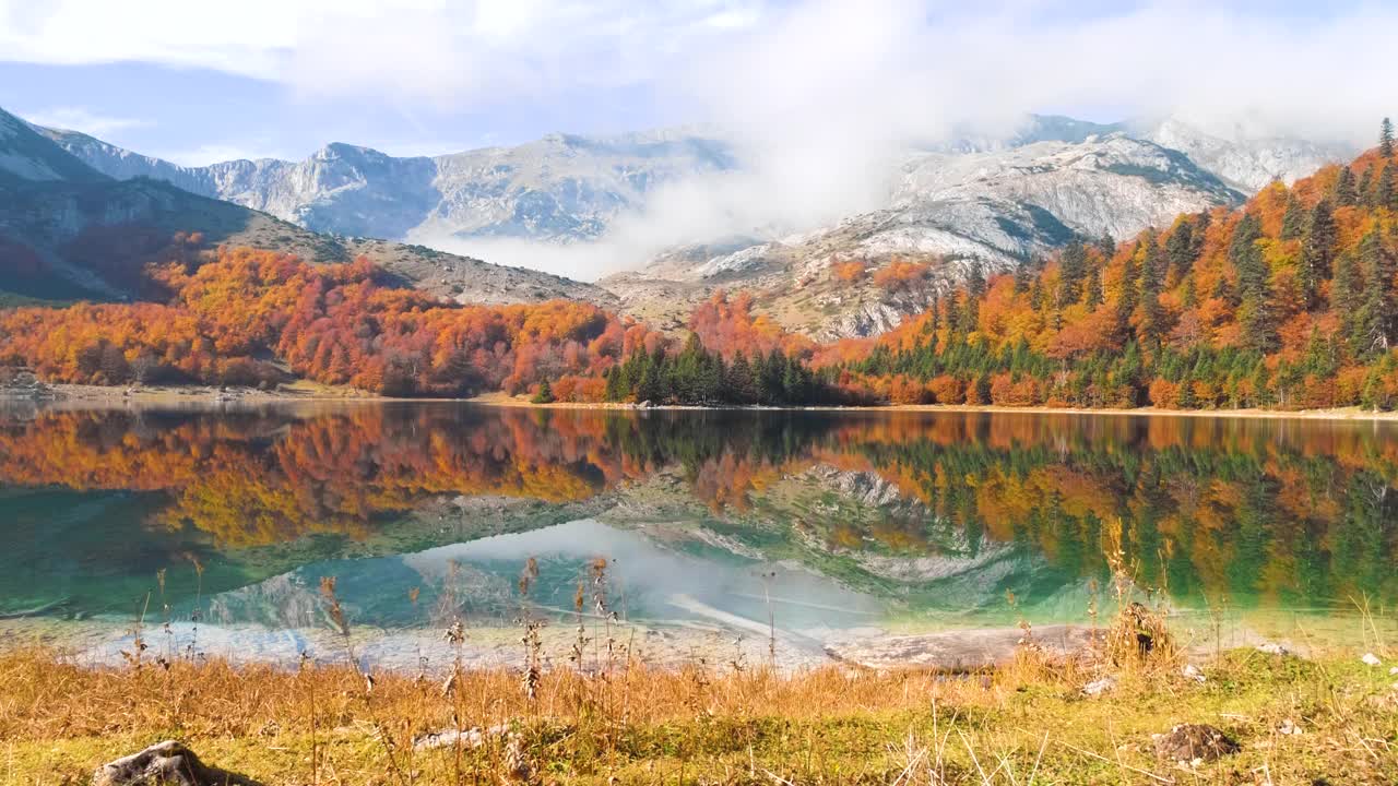 山湖秋天树叶视频素材