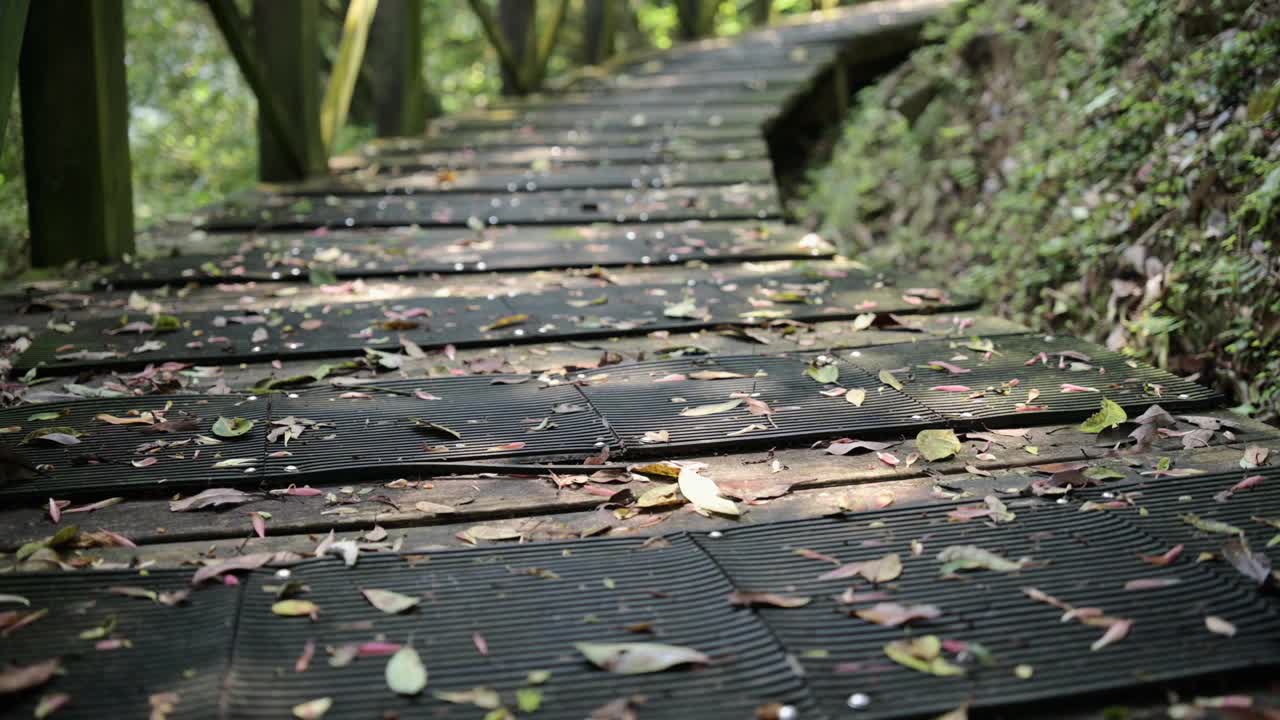 尖山湖路视频素材