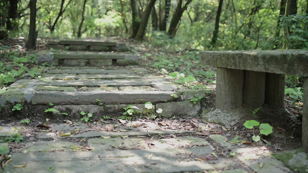 尖山湖路视频素材