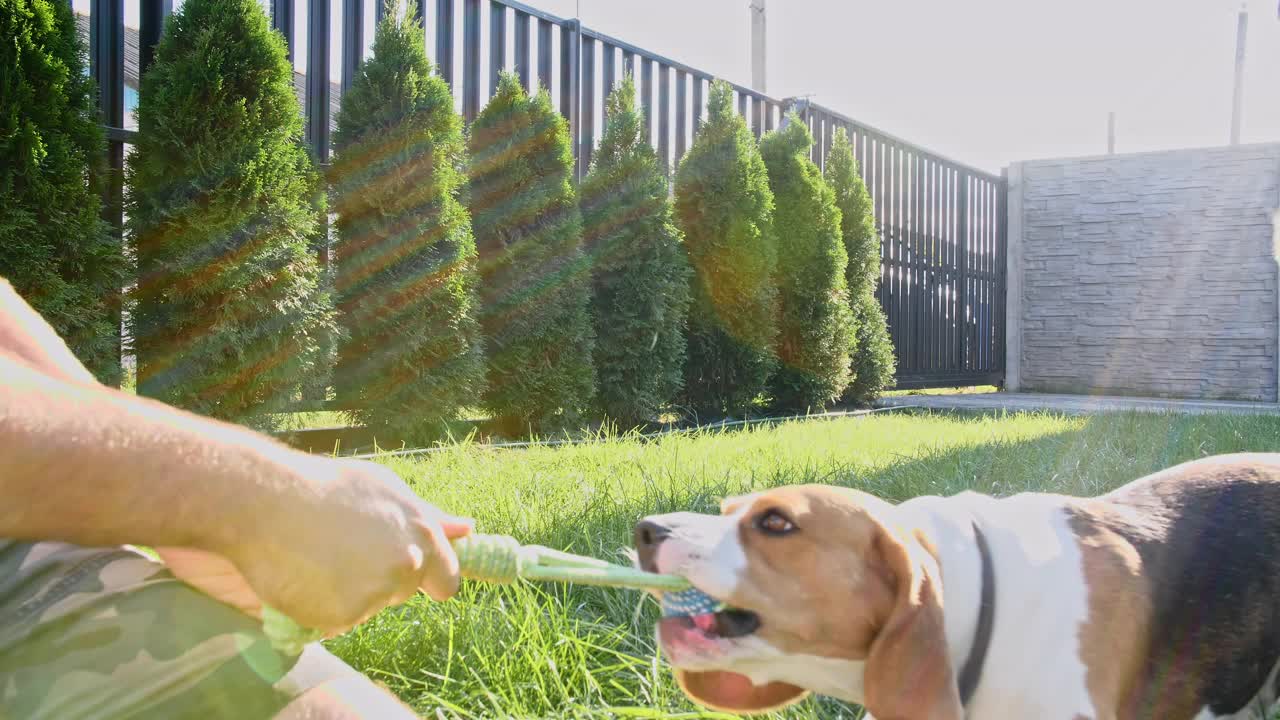 男人和他的小猎犬在户外玩耍，并给她的宠物一个款待。用他最喜欢的玩具逗他的小狗视频素材