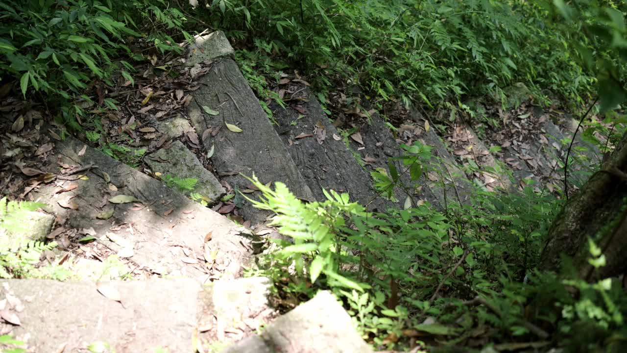 尖山湖路视频素材