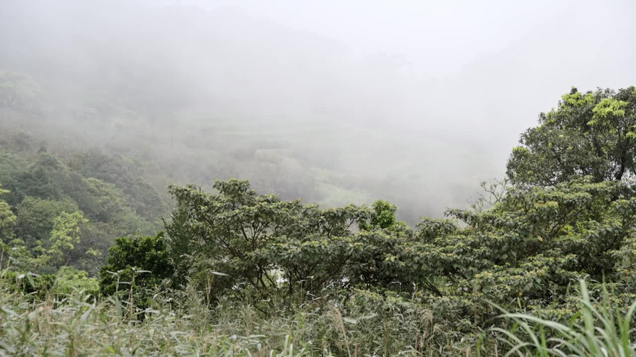 尖山湖路视频素材