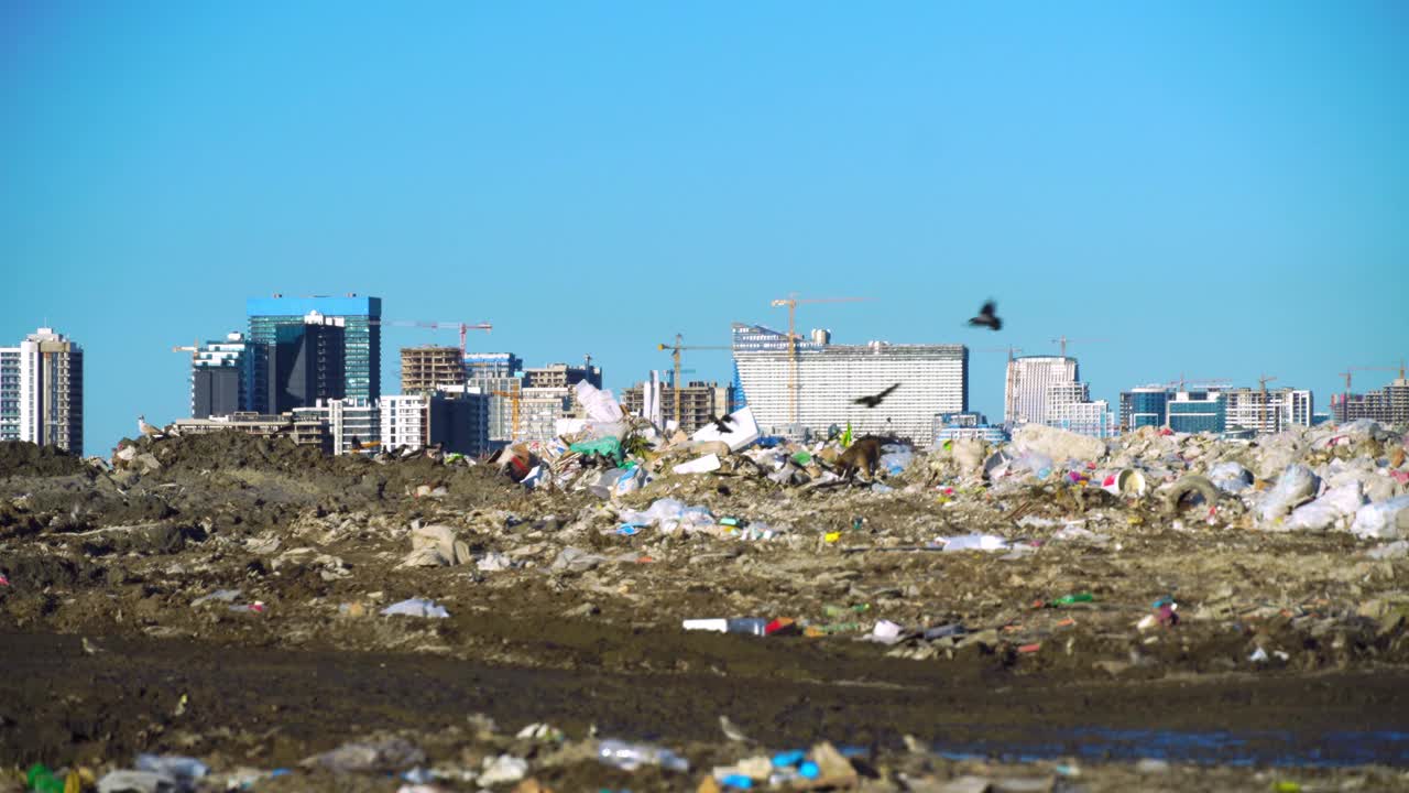 垃圾堆。摩天大楼，起重机工地和大城市的房屋视频素材