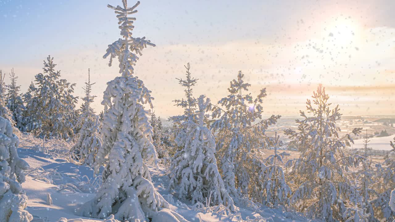 冬天的森林里有软绵绵的雪。日落时美丽的冬季风景。云杉树枝在雪地里。从山顶上看视频素材