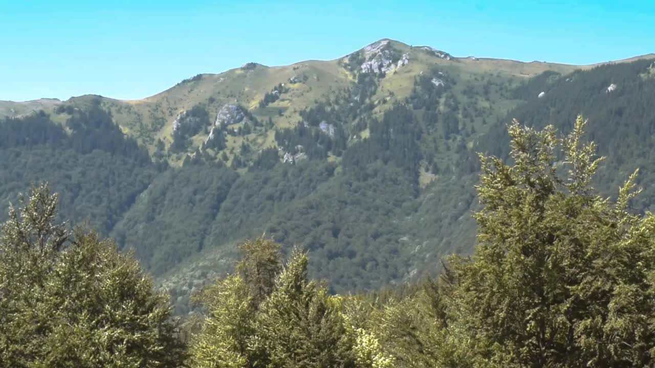 山景与风吹和树叶在树上移动视频下载