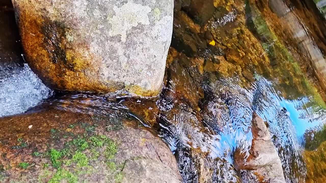 美丽如画的森林景观。一股清冷的山泉沿着山坡流淌。高山上的雪正在融化。胶片颗粒视频素材