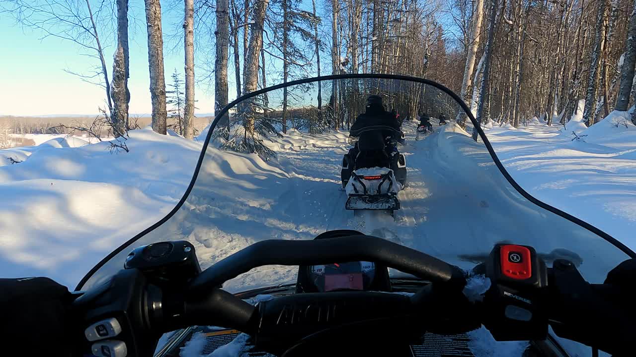 观点的看法。慢镜头中，雪地车穿过松树林视频素材