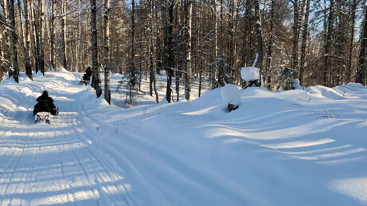 两辆雪地车通过松林的POV视图慢镜头视频素材