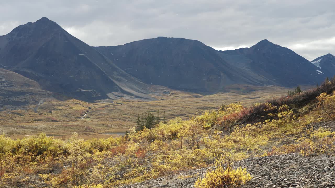 阿尔卑斯山苔原上令人惊叹的风景视频素材