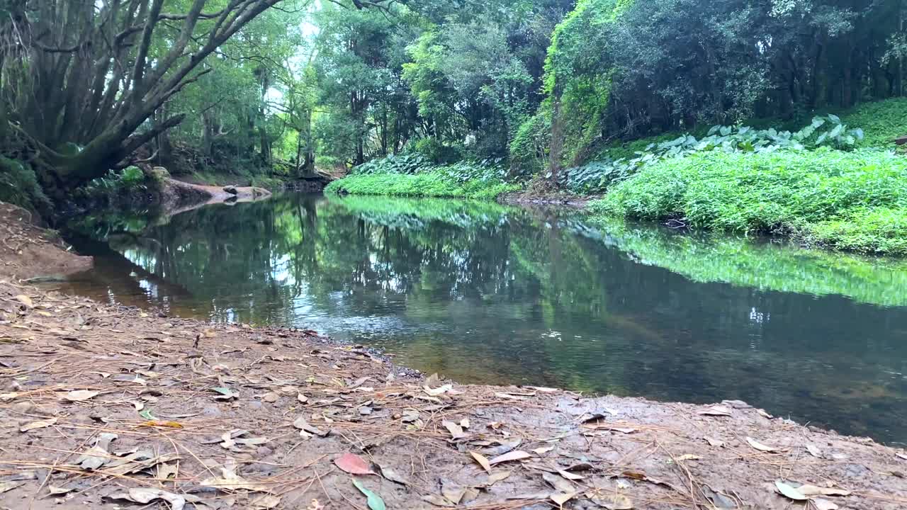 静溪河床水视频素材