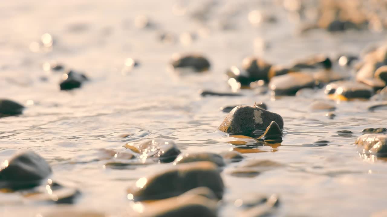 小河流的海岸和沿海岸流动的水流。山河附近的石头。湍急的山河流经巨石视频素材