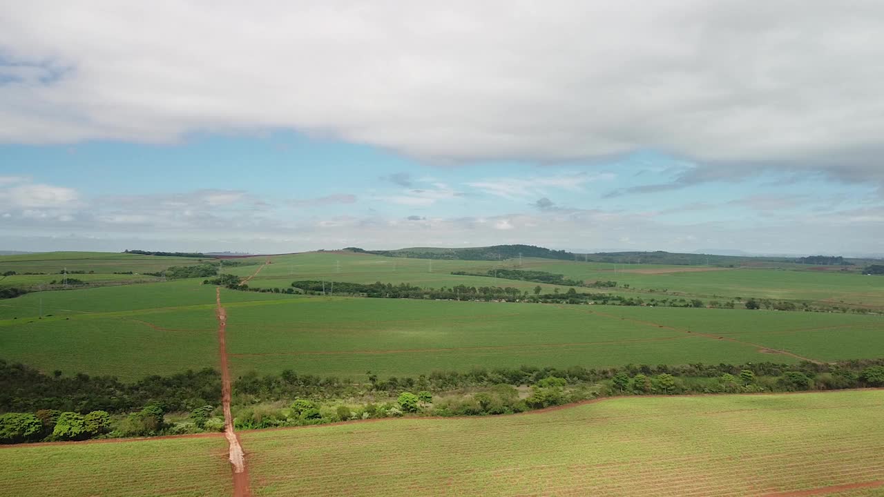 甘蔗田，无人机在空中飞行，在巴西最近种植的甘蔗田上空飞行。视频素材