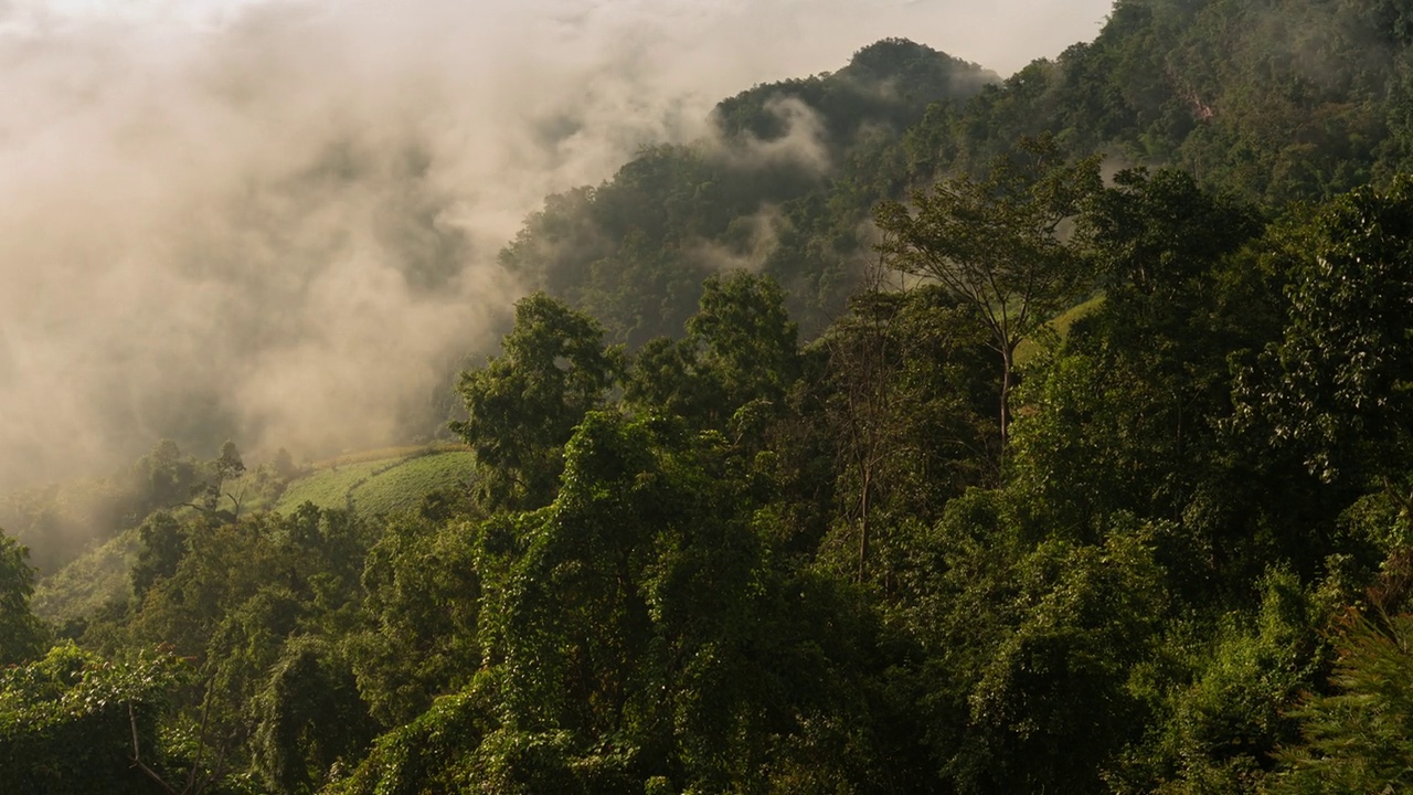 时间推移:泰国湄洪森省庞玛帕地区的班加波观察点，森林上空笼罩着薄雾视频下载