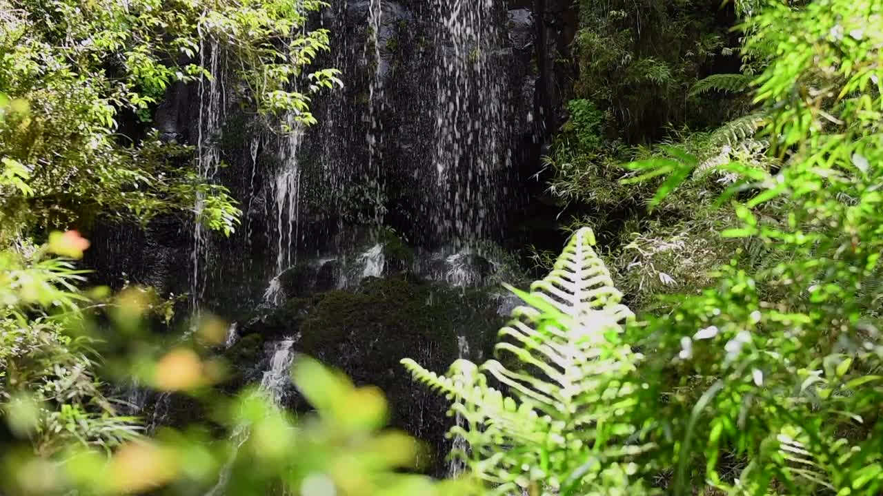 荒野视频下载