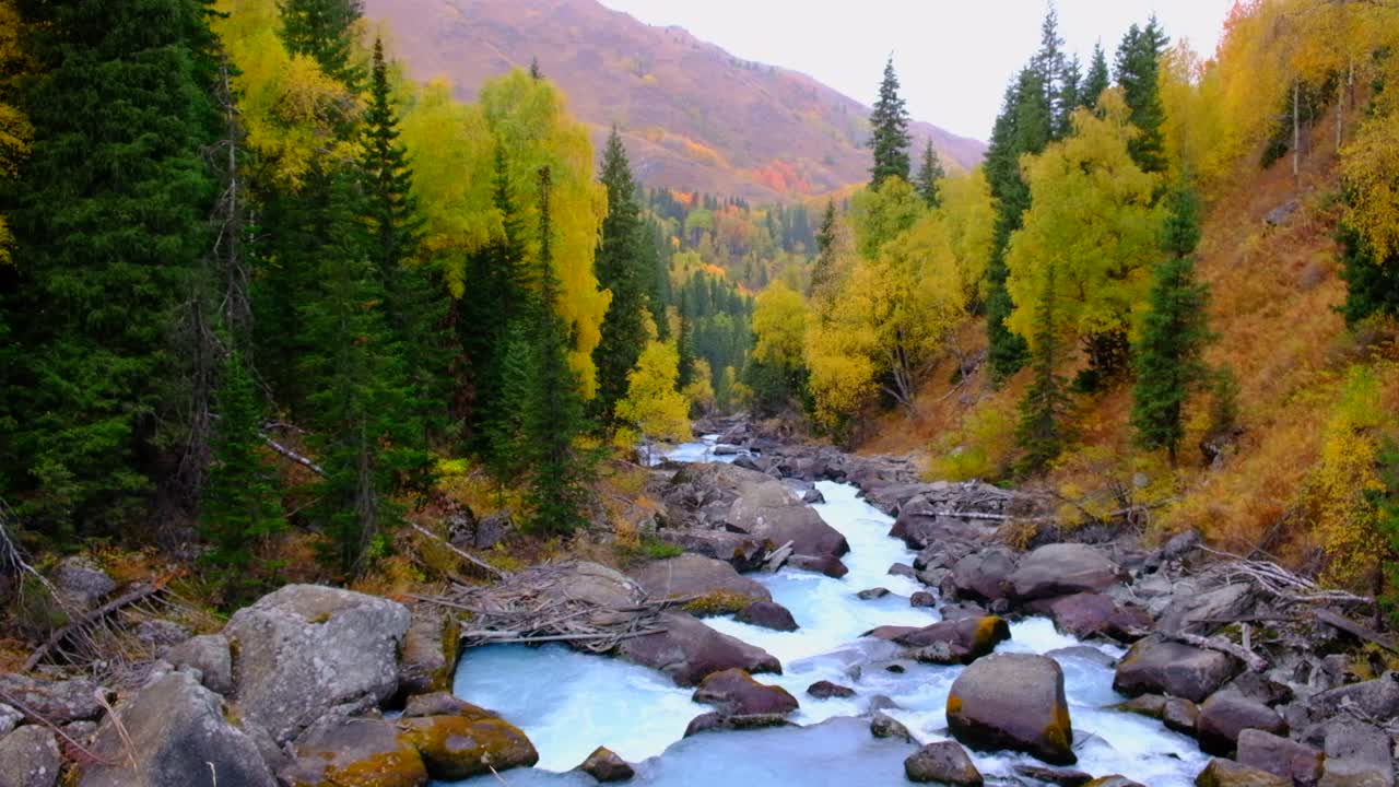 美丽的山河，岩石大，水流湍急，周围有五颜六色的森林。视频下载