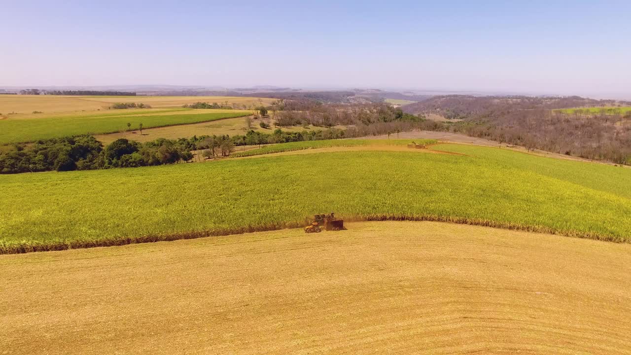 甘蔗收割。Ribeirão Preto, São保罗。“甘蔗”的鸟瞰图。视频素材