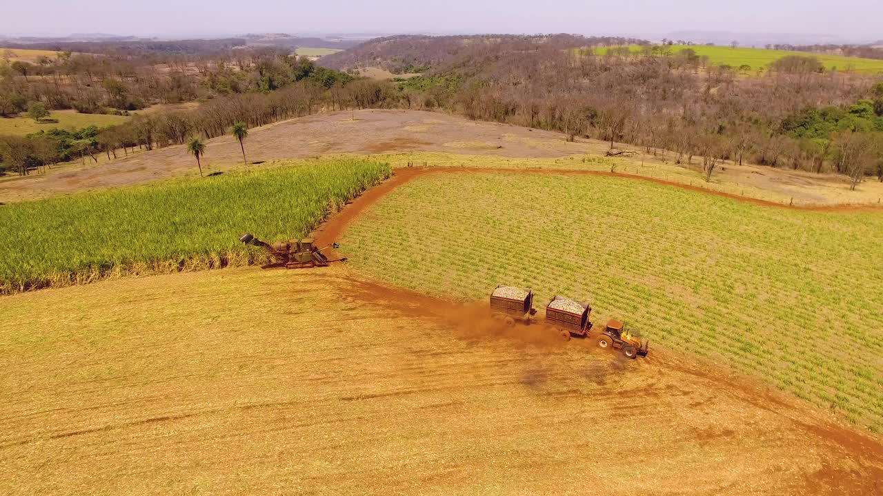 甘蔗收割。Ribeirão Preto, São保罗。“甘蔗”的鸟瞰图。视频素材