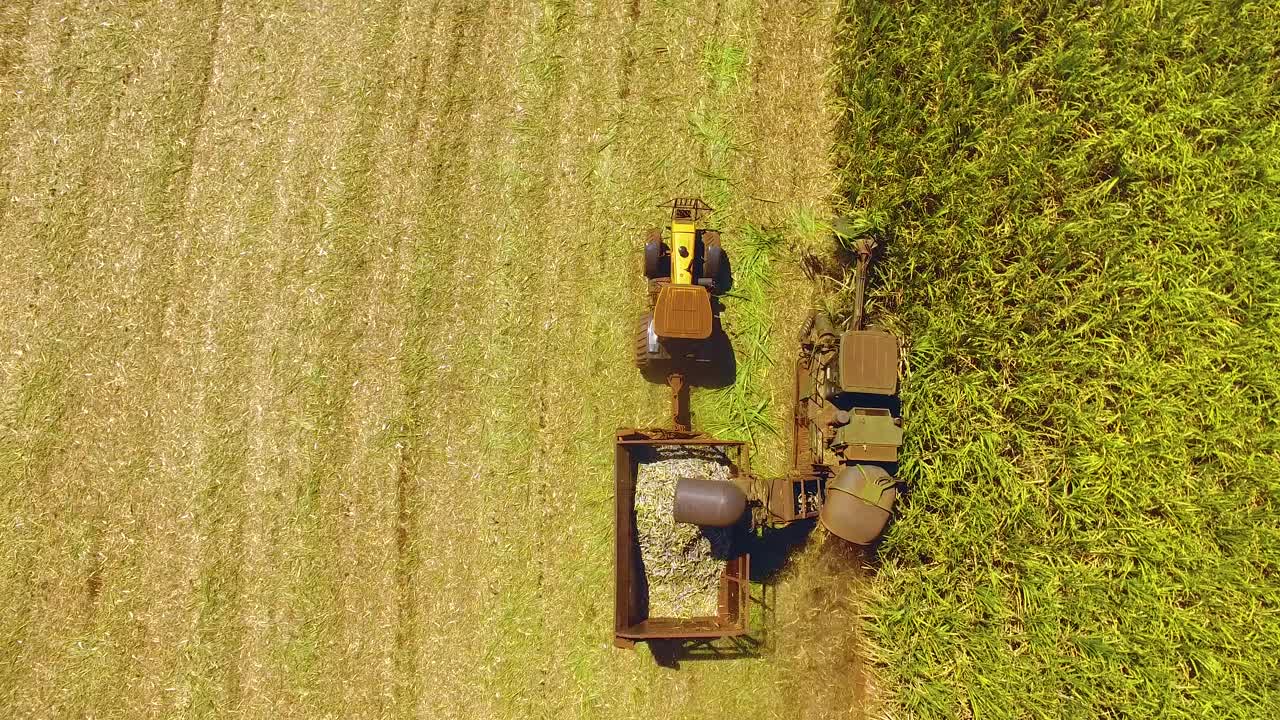 甘蔗收割。Ribeirão Preto, São保罗。“甘蔗”的鸟瞰图。视频素材