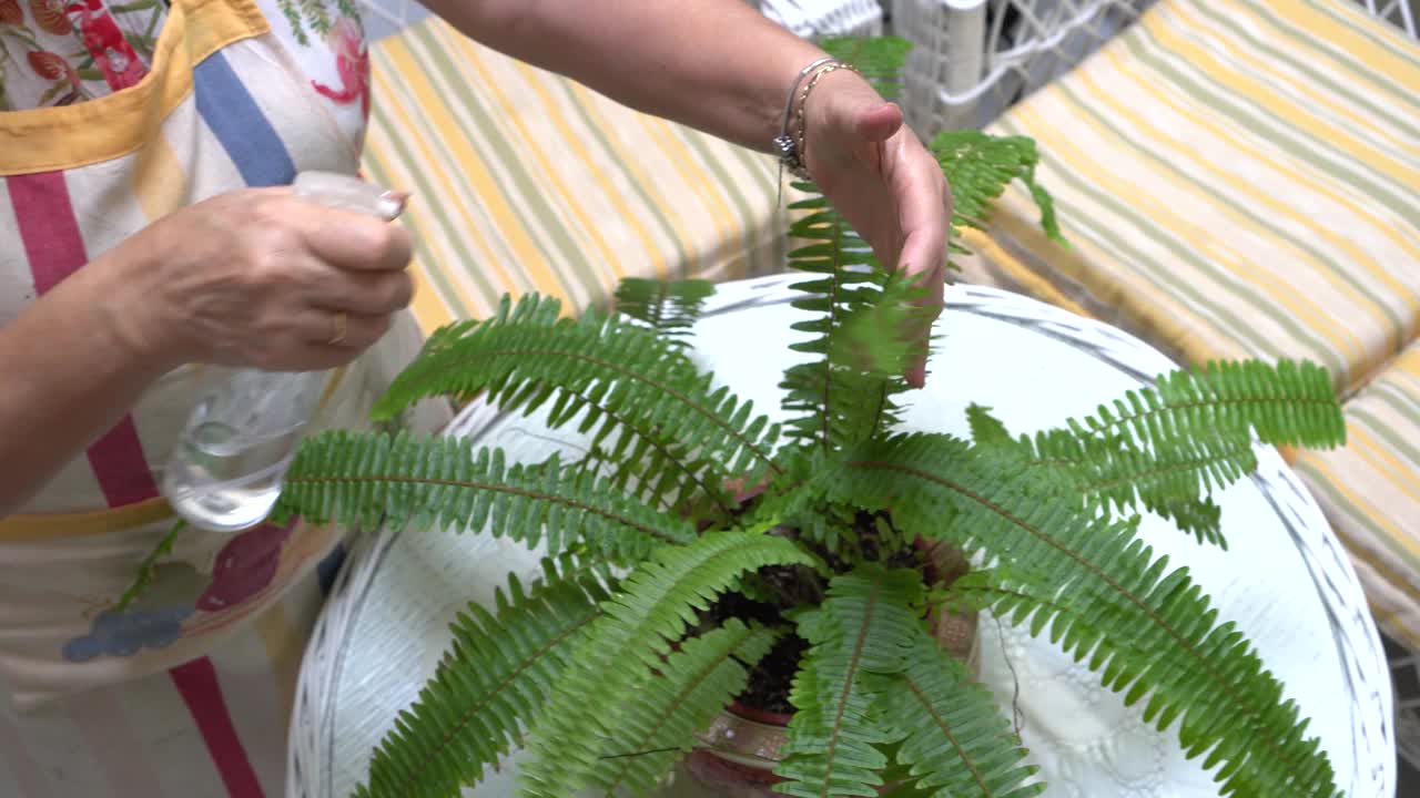 老妇人在家里明亮的庭院里浇水和照料植物。视频下载