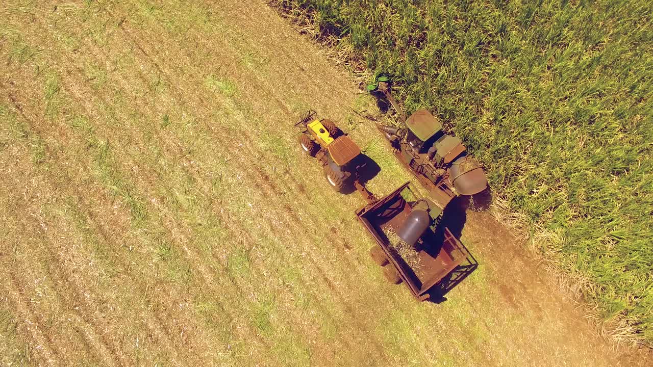 甘蔗收割。Ribeirão Preto, São保罗。“甘蔗”的鸟瞰图。视频素材