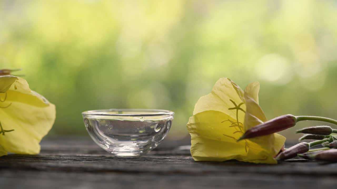 从瓶中倒出月见草油，与新鲜的野樱草花一起视频素材