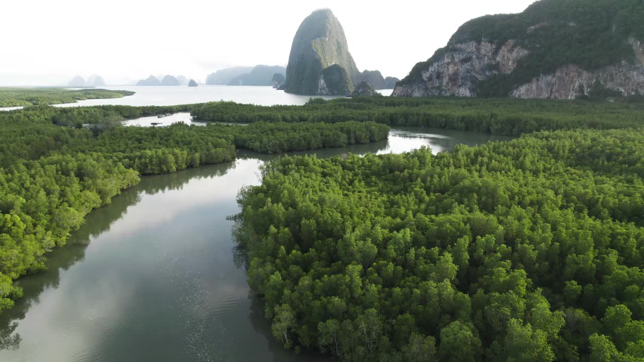 4K Footage Unseen Thailand:鸟瞰图曲线沿热带雨林在Phang nga湾“Samed nangchee”，泰国。视频下载