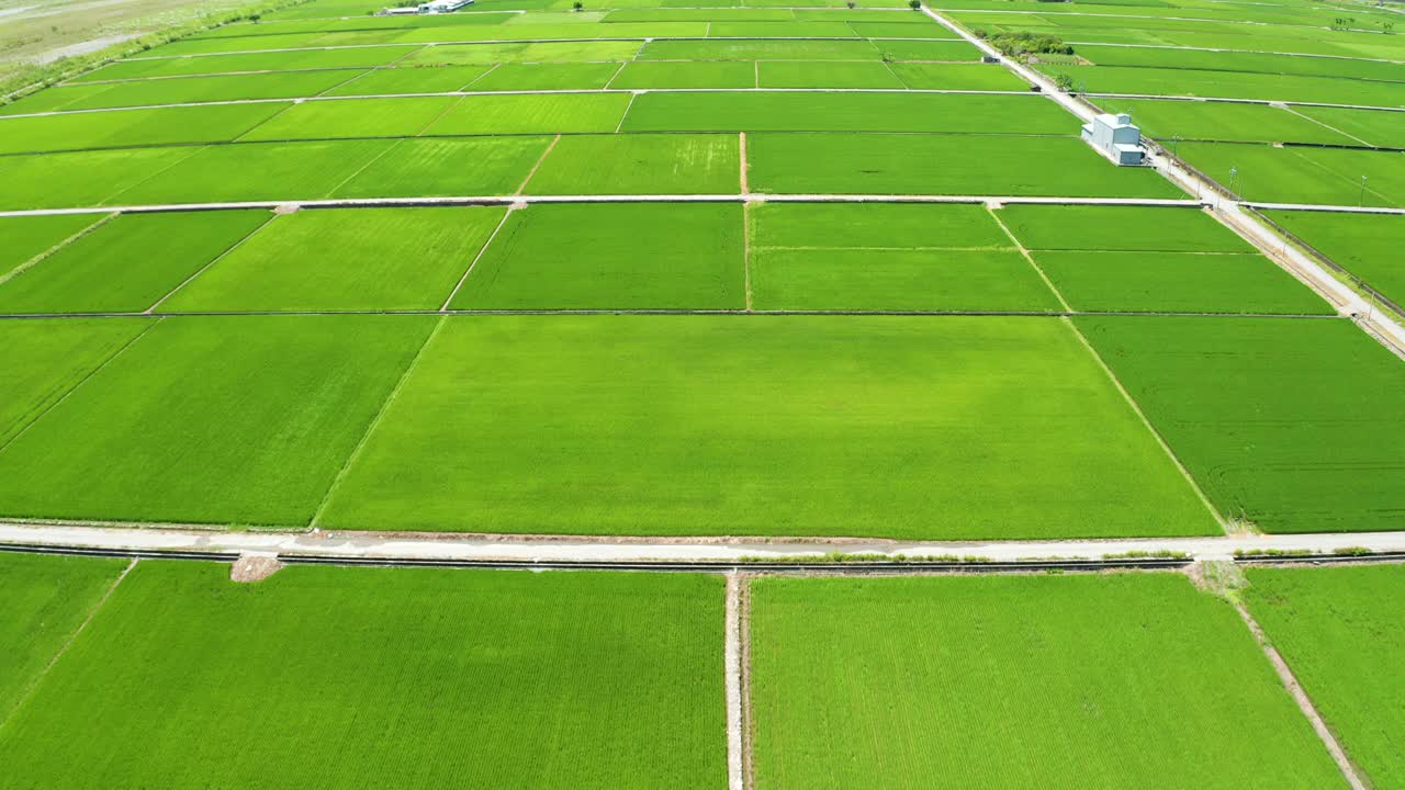 鸟瞰花莲绿色稻田，台湾视频素材