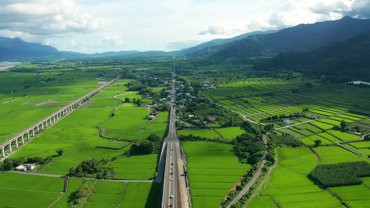 台湾台东绿色稻田鸟瞰图视频素材